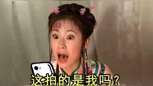 紫薇林心如表情包,笑出腹肌的古装女神