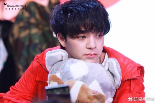 泰国bas资料,揭秘泰国商业活动统计的奥秘